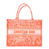 Transparent Canvas Embroidered Medium Dioriviera Toile De Jouy Book Tote
