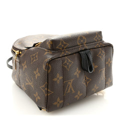 Monogram Palm Springs Backpack Mini