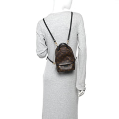 Monogram Palm Springs Backpack Mini
